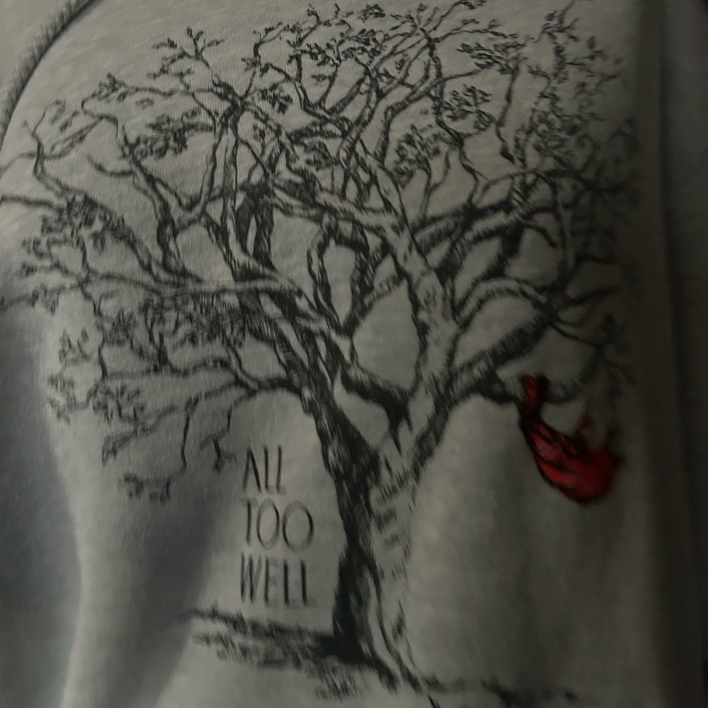Taylor swift all too well hoodie size medium as is condtion - Picture 2 of 7